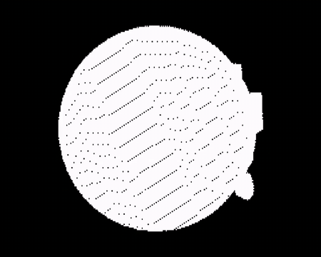 The Fascinating Nature of Moon title animation