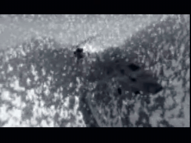 Megablast public-video grain-field motion